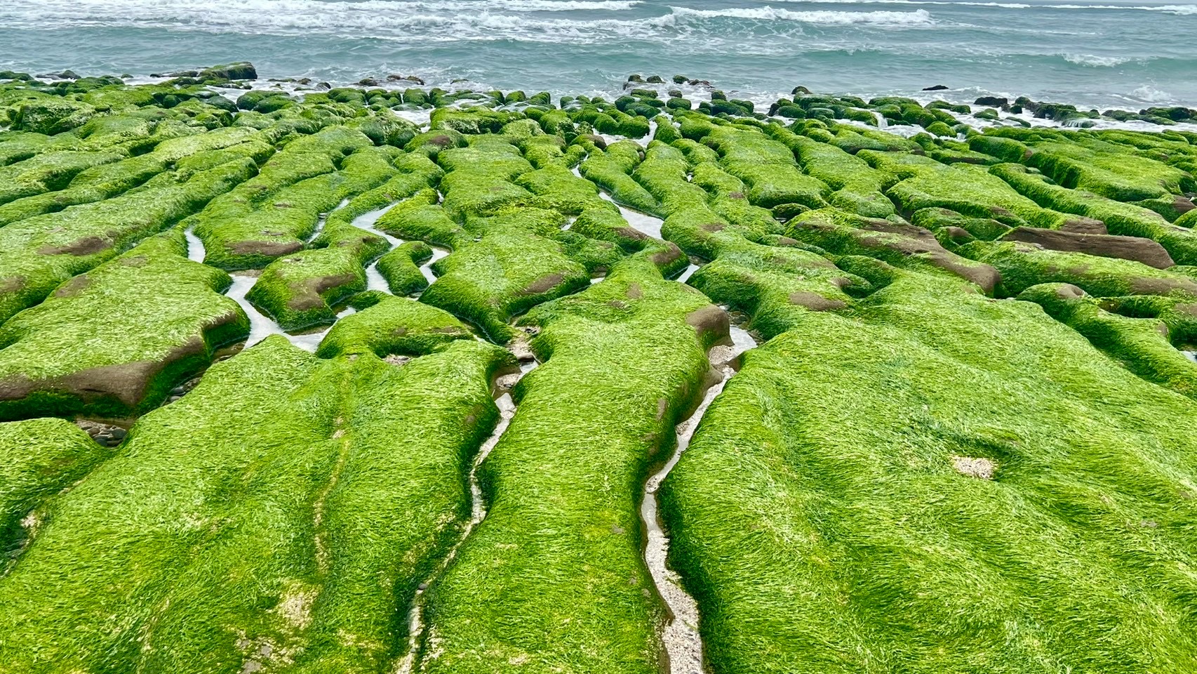 ETtoday旅遊雲 - #新北旅遊 與抹茶地毯相遇的機會又來了！... | Facebook