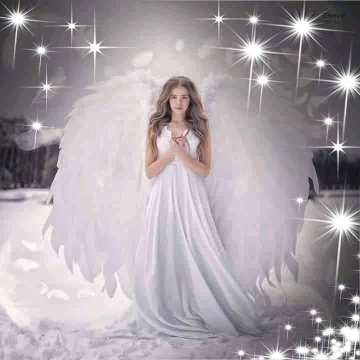 Classic Angel's (White) | Facebook