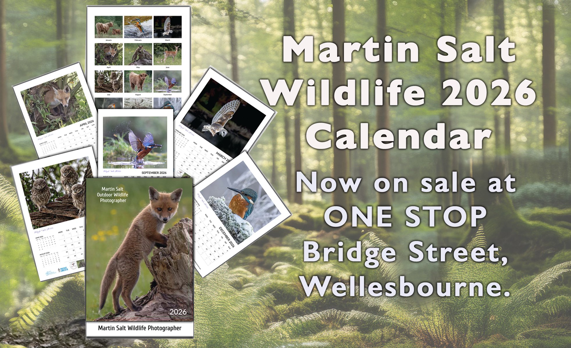 Martin Salt Fully Retired Professional Photographer - Stratford upon Avon