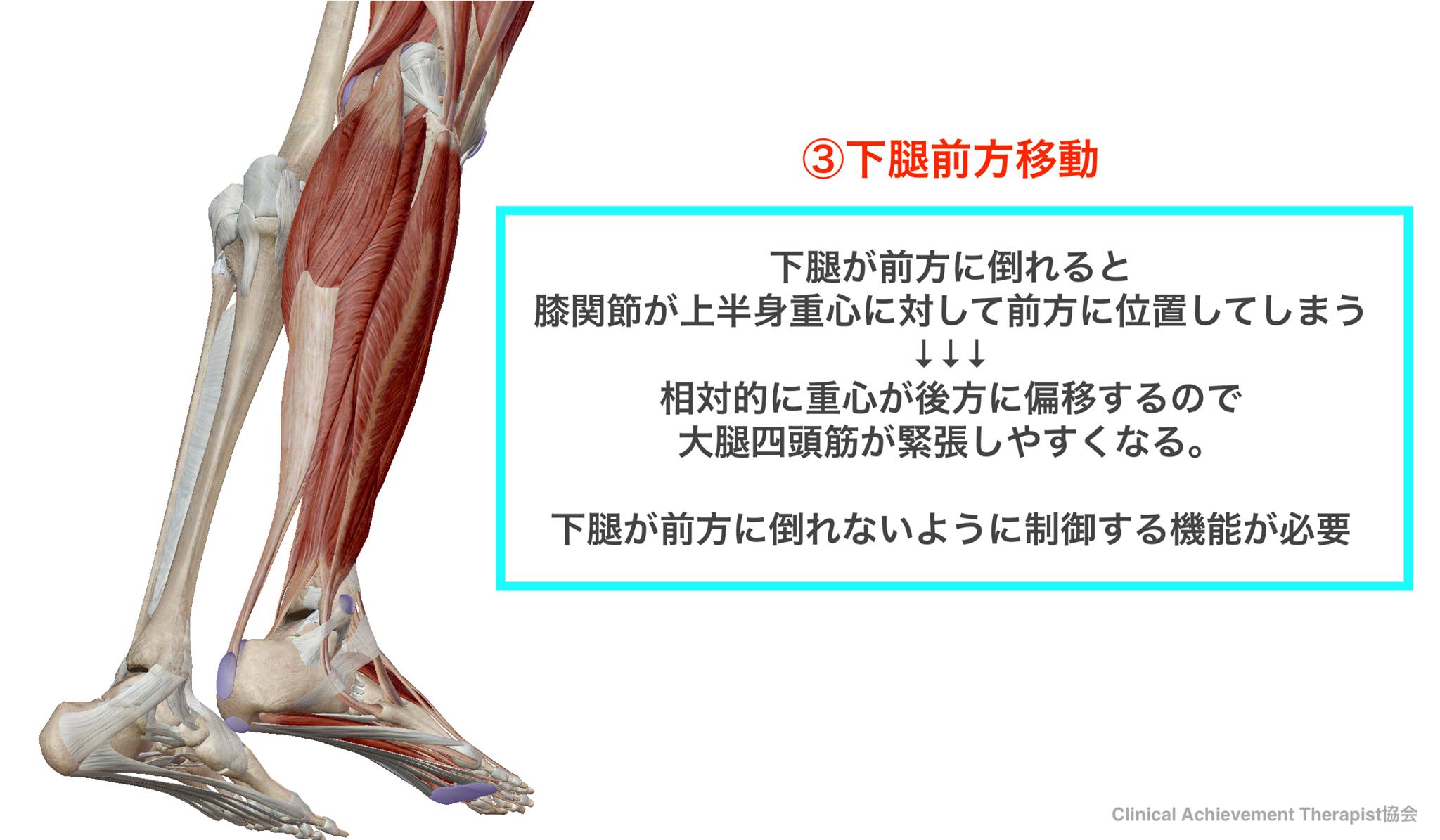 結果に繋がる臨床学 Home Facebook