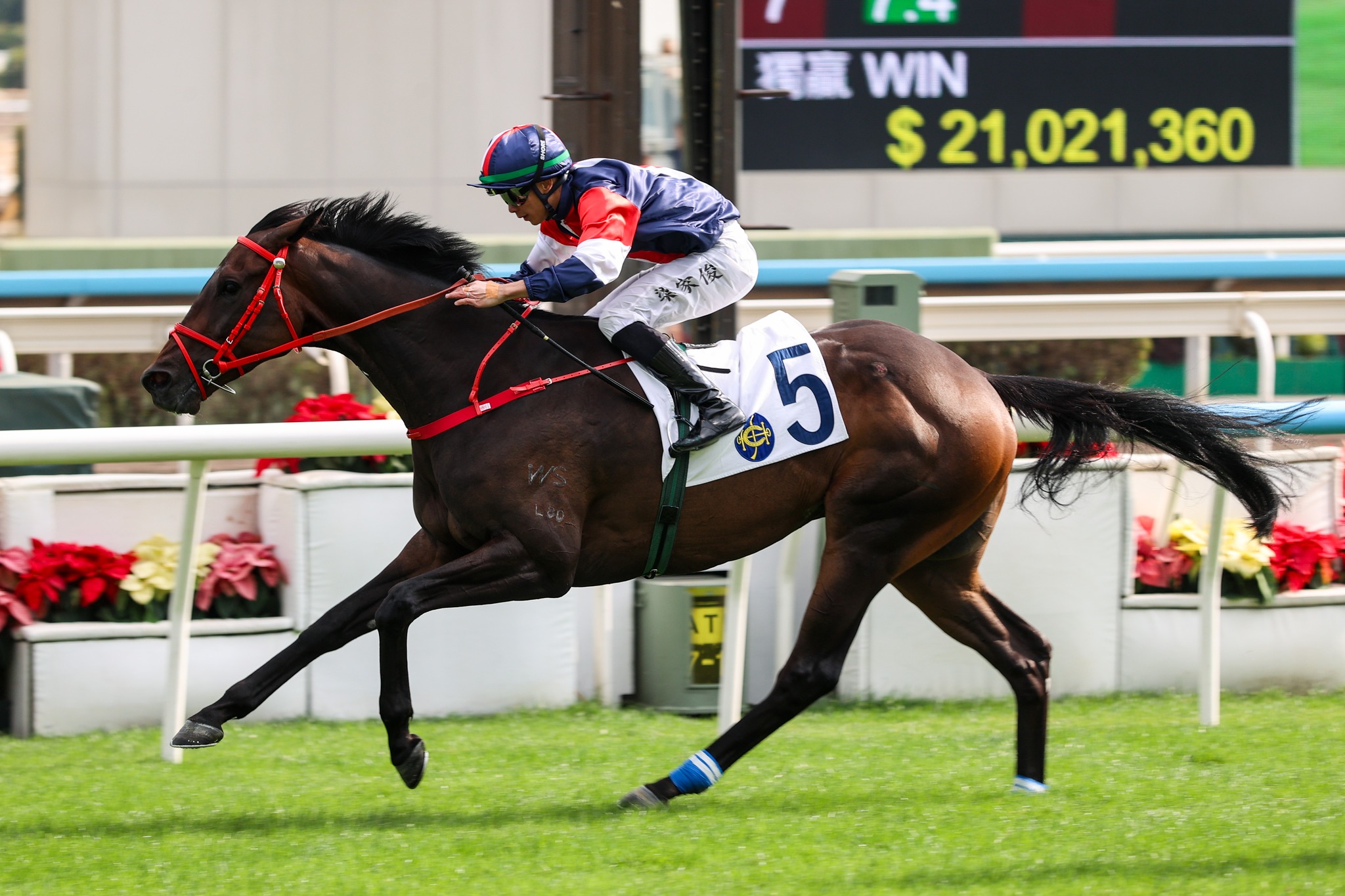 HKJC Racing - HKJC Racing added a new photo.