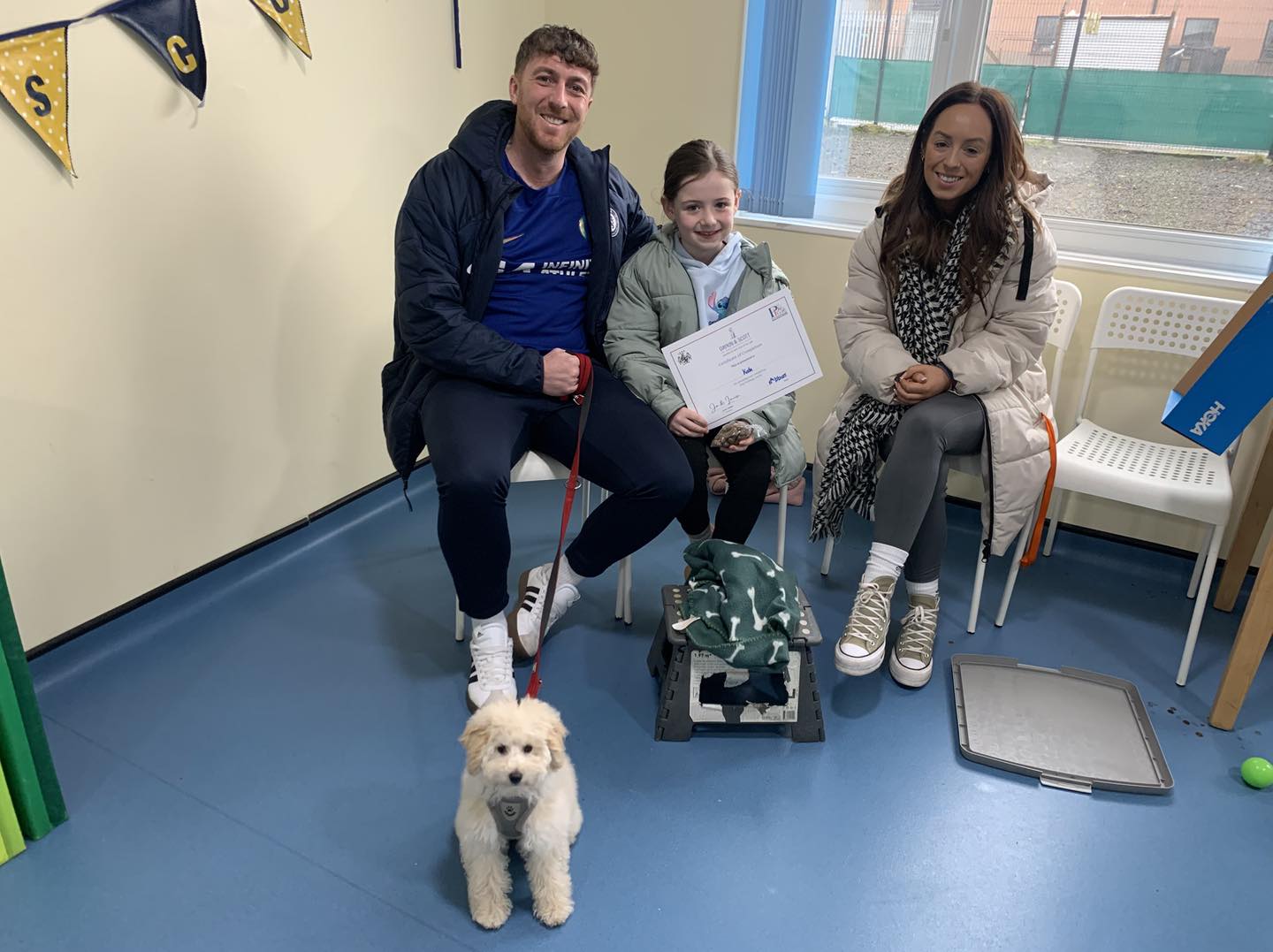 Daykin and Scott Dog Training and Behaviour Services | Newtownabbey