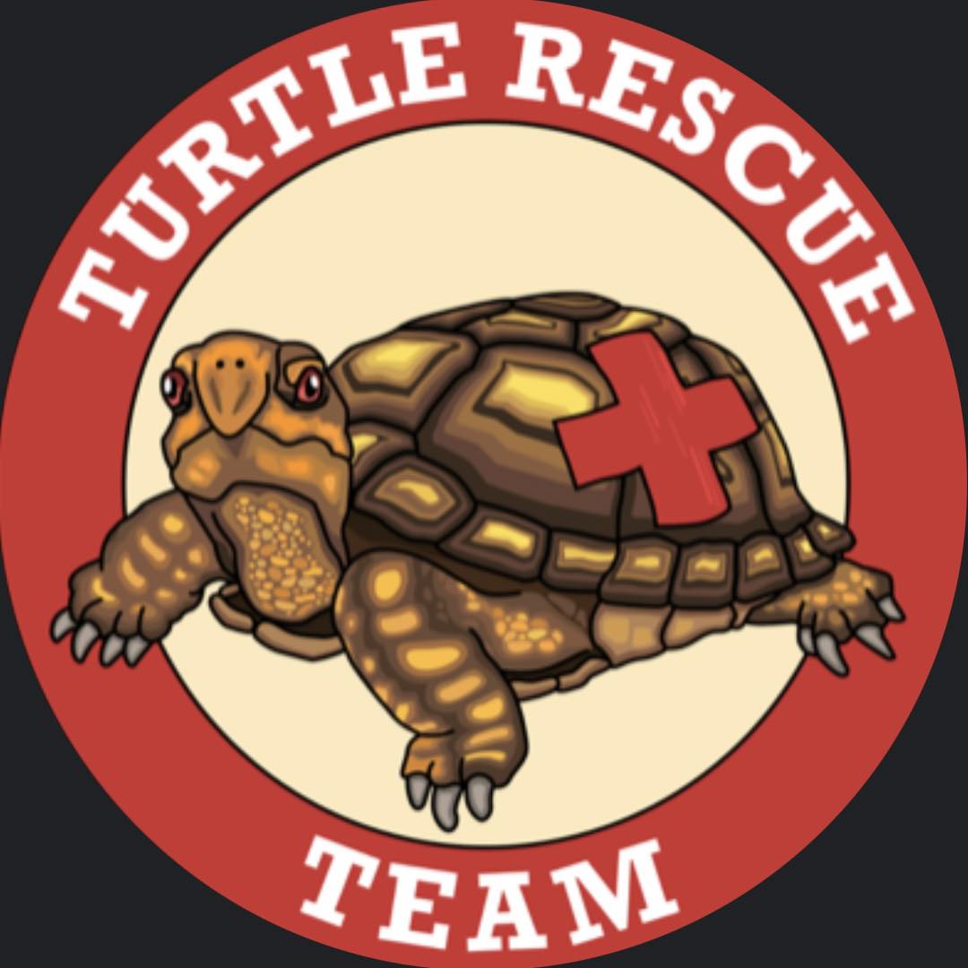 📢 WE HAVE NEWS!!! We are excited to... - Turtle Rescue Team | Facebook