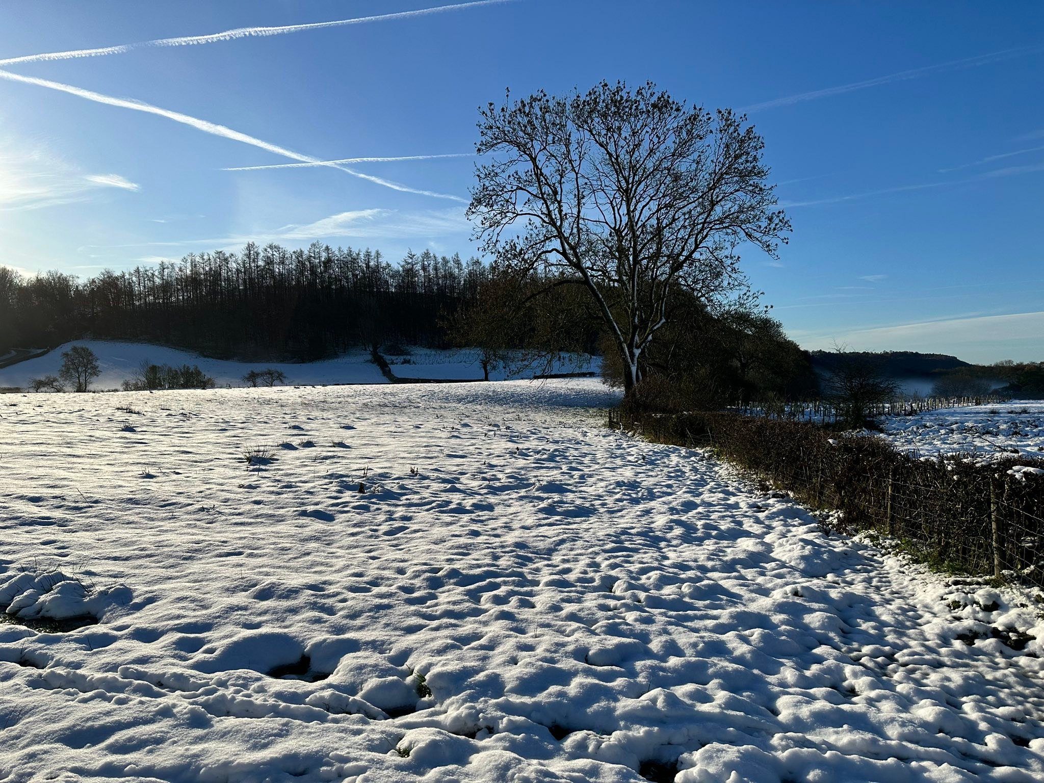 Rawcliffe House Farm Holiday Cottages | Pickering