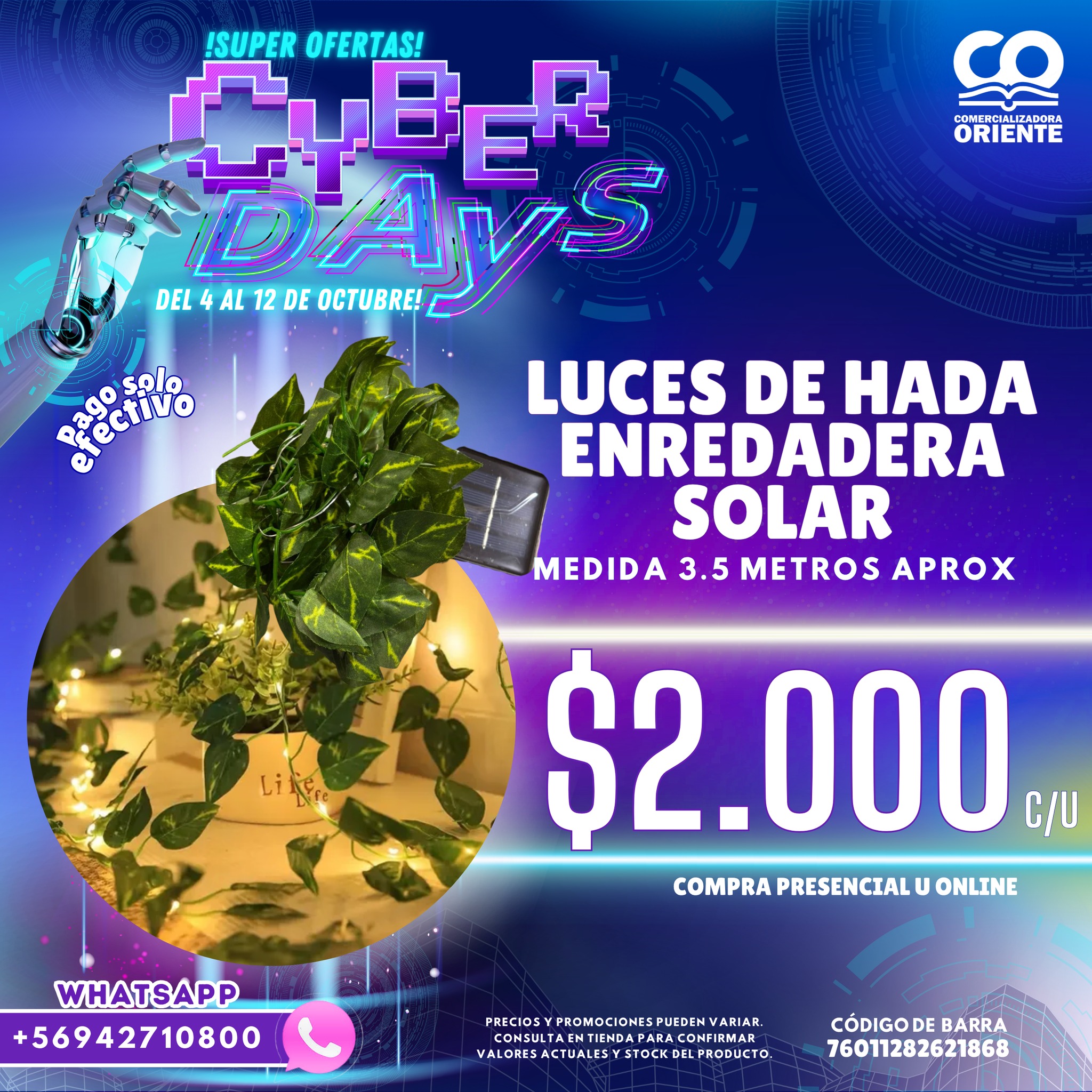 Comercializadora Oriente... - Comercializadora Oriente Talca