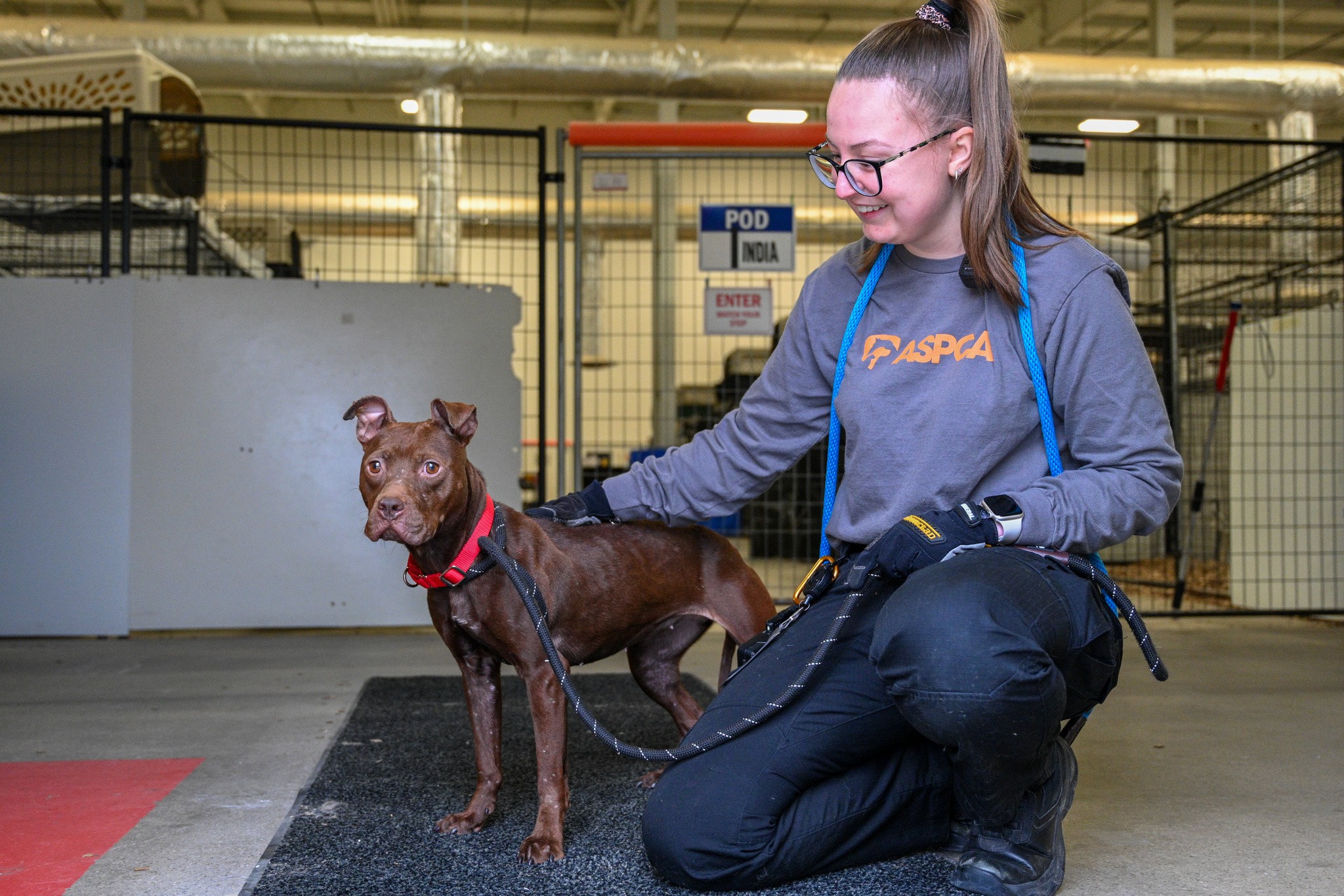 ASPCA - The ASPCA Adoption Center and ASPCA Animal Hospital in New York ...