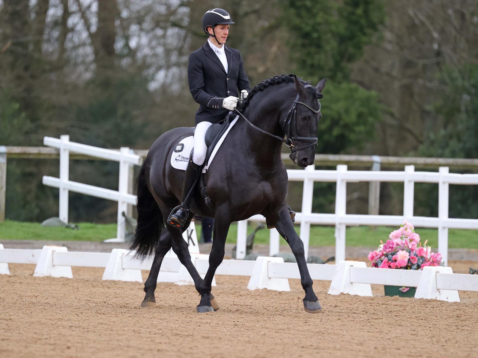 Jess Hall Veterinary Physiotherapy