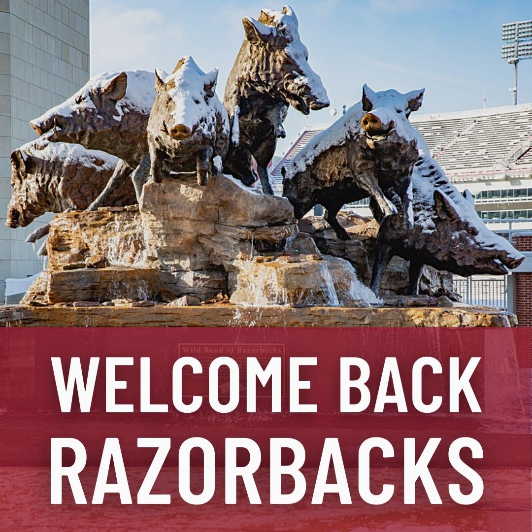 🎉 Welcome Back,... - University of Arkansas ONLINE | Facebook