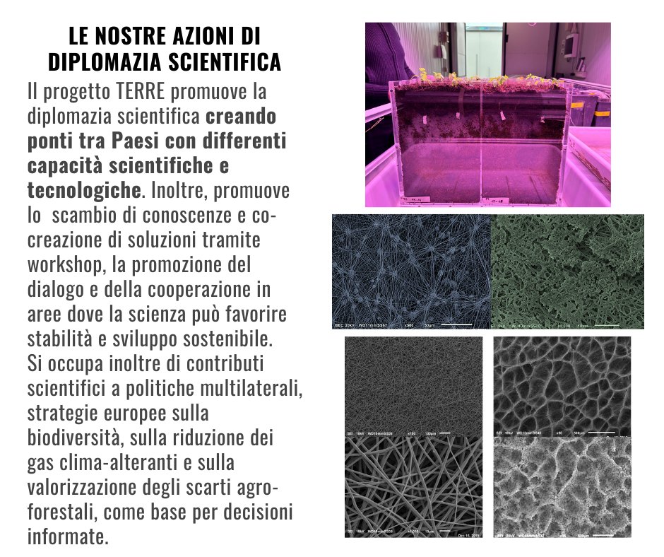 CNR - Area territoriale di Ricerca di Roma 1 | Monte Libretti