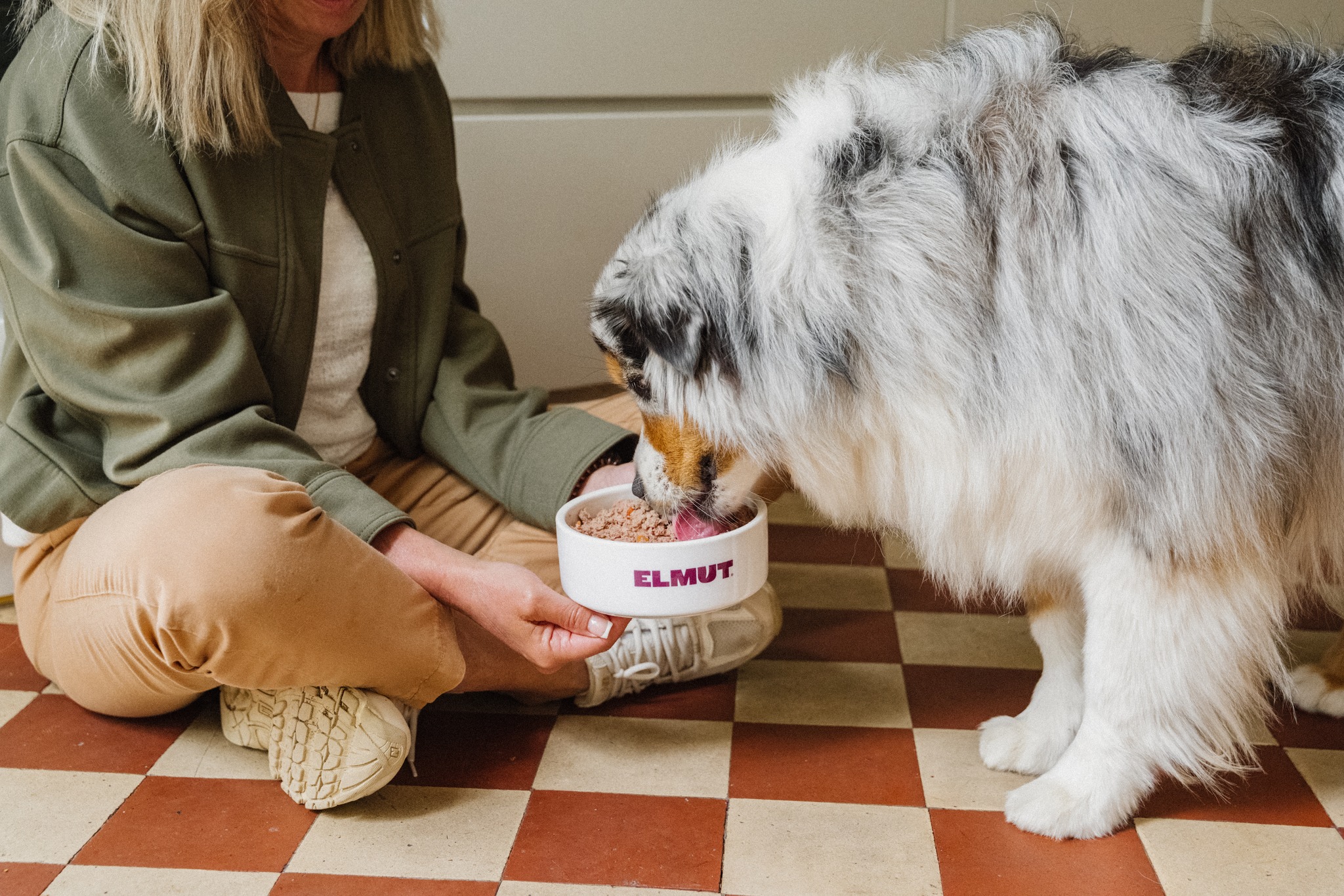 Gant Anti-poils Réutilisable Le Comptoir Animalier - Enlève Les Poils De Chien, Chat, Sur Canapé, Vêtements, Sans Danger Pour L'animal