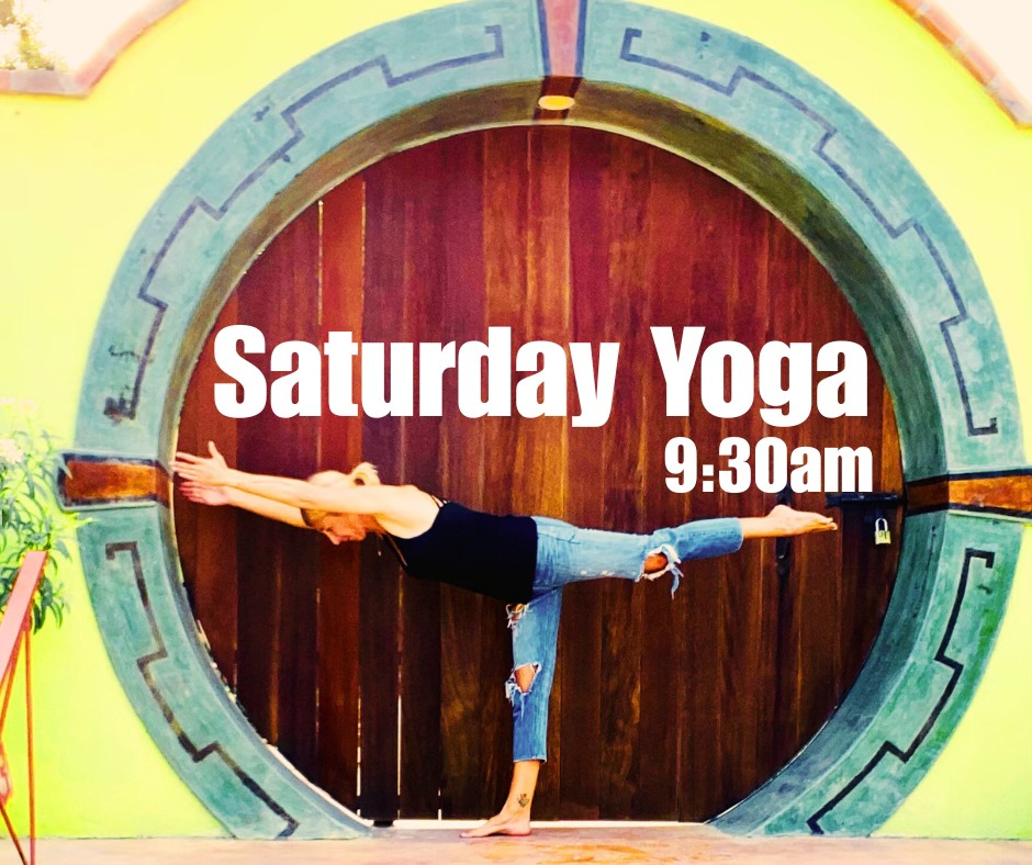 Yoga - 𝗦𝗮𝘁𝘂𝗿𝗱𝗮𝘆 𝗬𝗼𝗴𝗮 𝗶𝘀 𝗕𝗮𝗰𝗸! Saturday | 9:30am | Yoga Garden I'm so ...