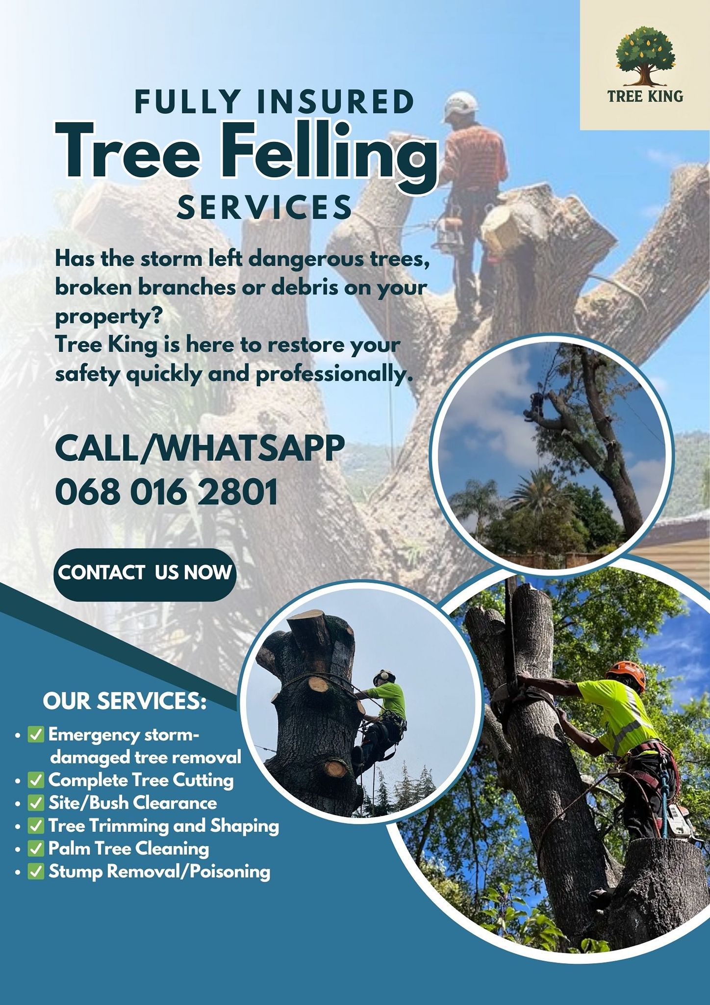 Tree King - We offer fully Insured tree cutting services which includes ...