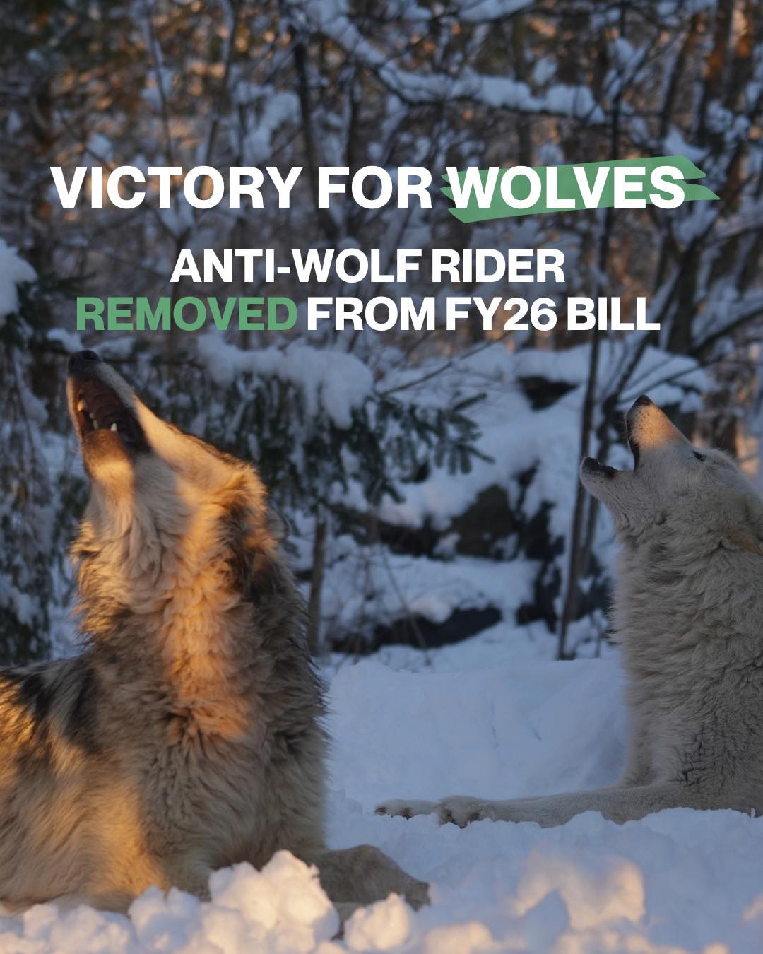 Anneka - Your howls worked! The House and Senate passed the FY26 ...