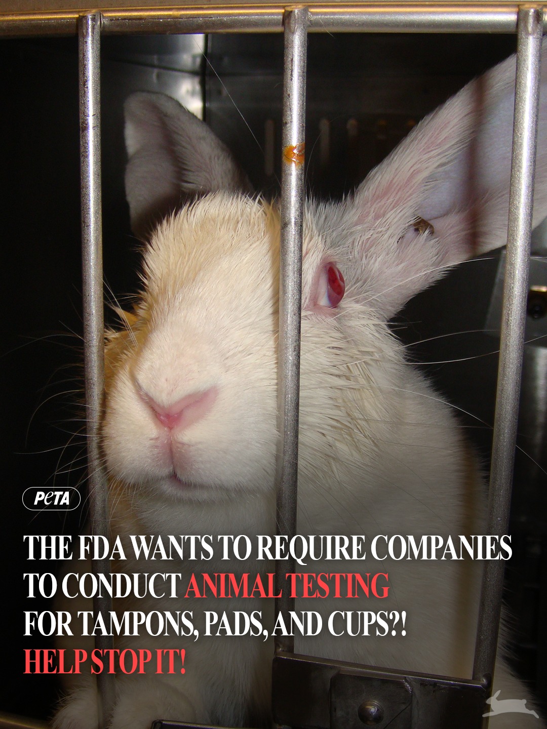 PETA - The FDA may now require companies to conduct animal testing for ...