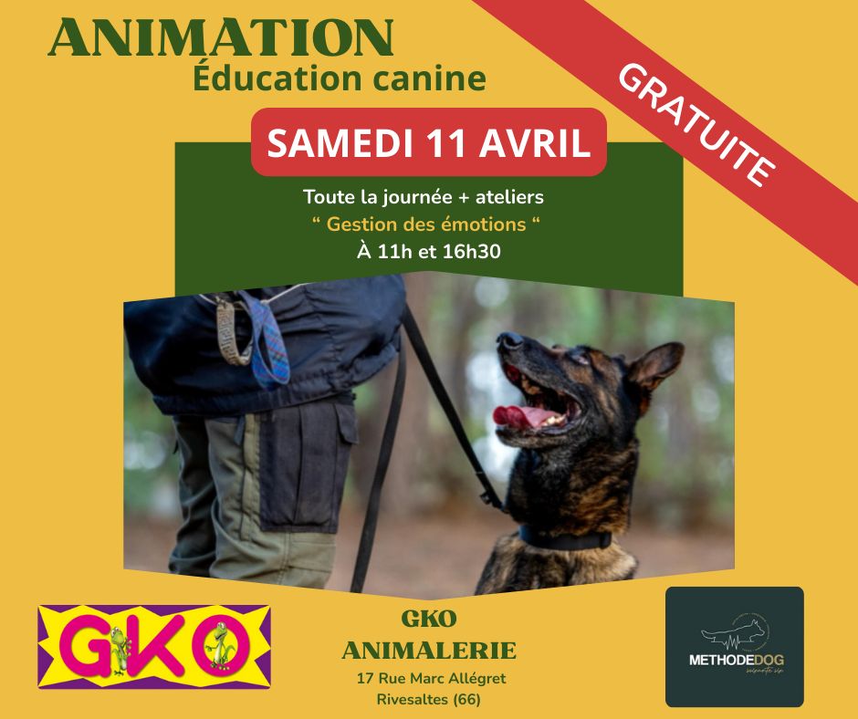 GKO Animalerie Rivesaltes | Rivesaltes