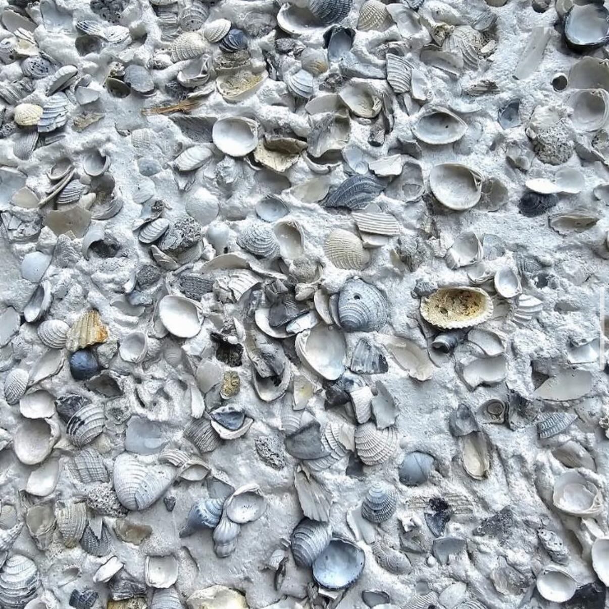 Carroll's - Tabby Stucco using 1/2 coastal shell. We will bring the ...