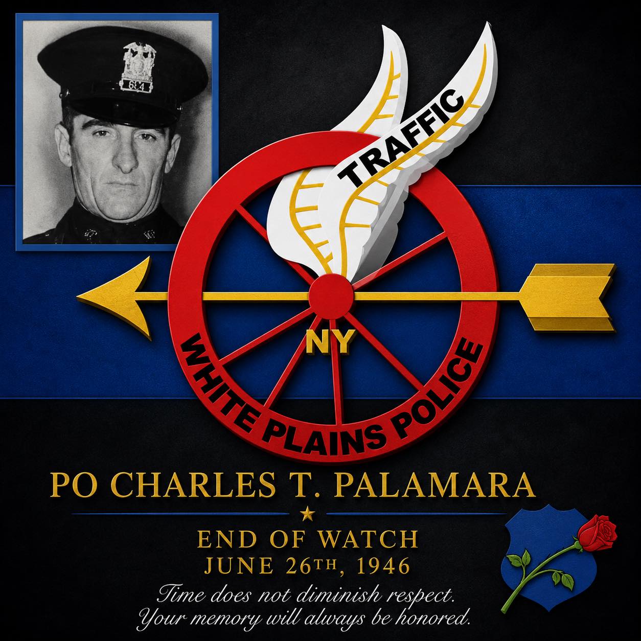 White Plains Public Safety | White Plains NY