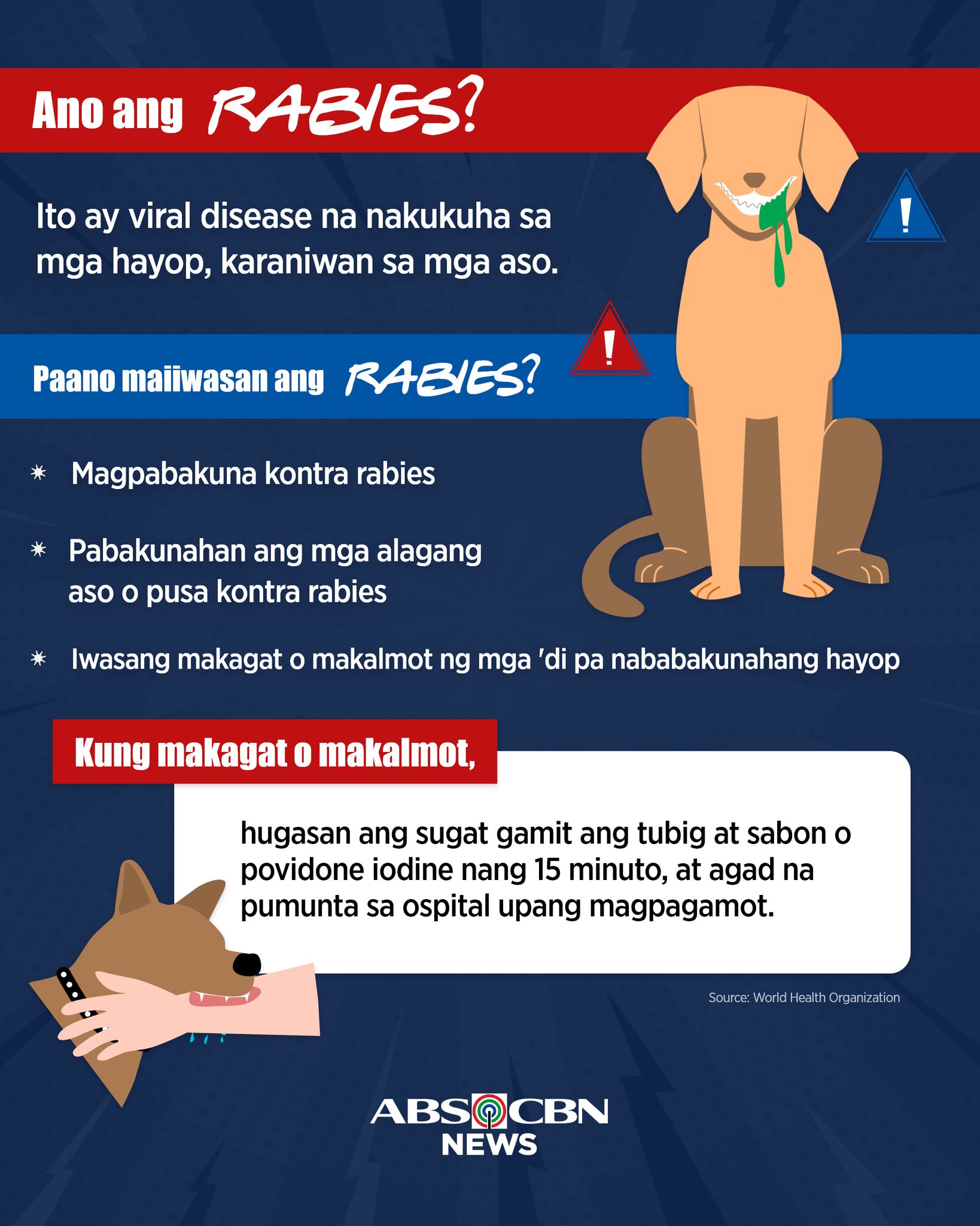 Cabuyao Animal Bite Clinic | Cabuyao