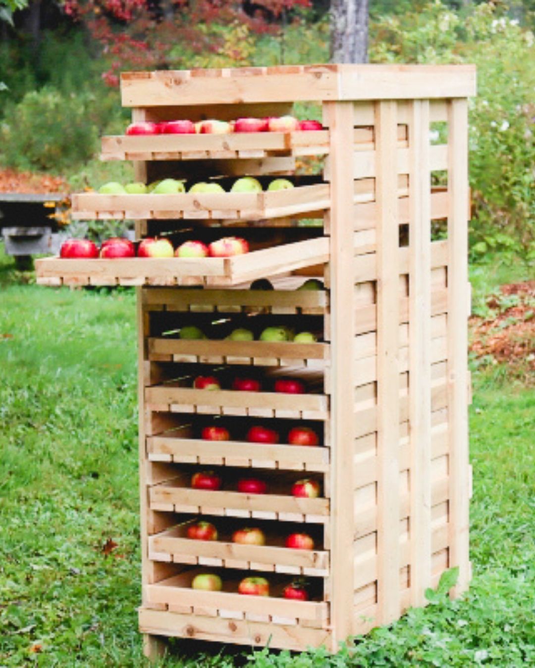 Store a winter's worth of apples... - Practical Self Reliance | Facebook