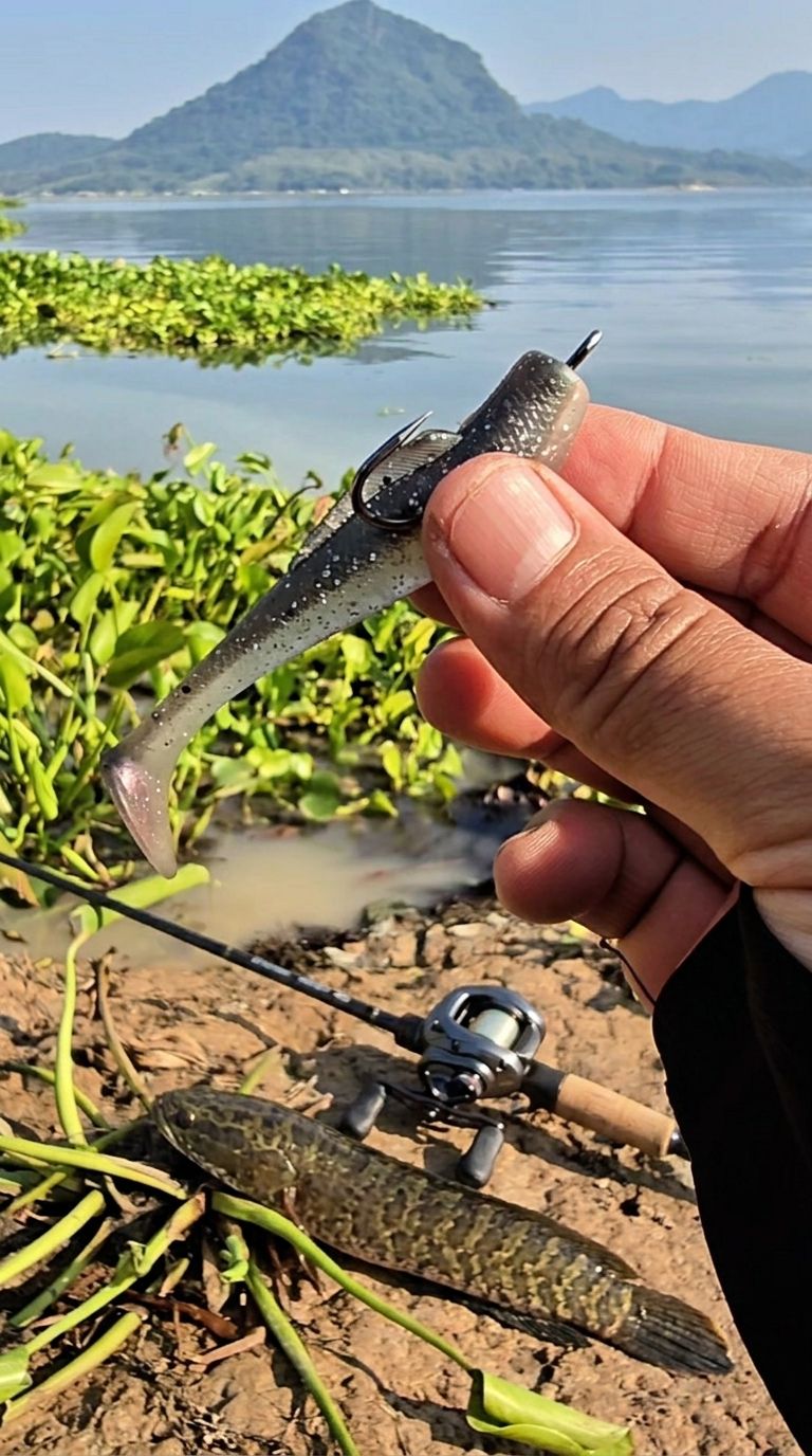 adding fish to fishing pole Ice Rod Holder. Catfish! Shipping Included! – Papas Tales Fly Reel | St Color:Chart/Rootbeer Spoonbait