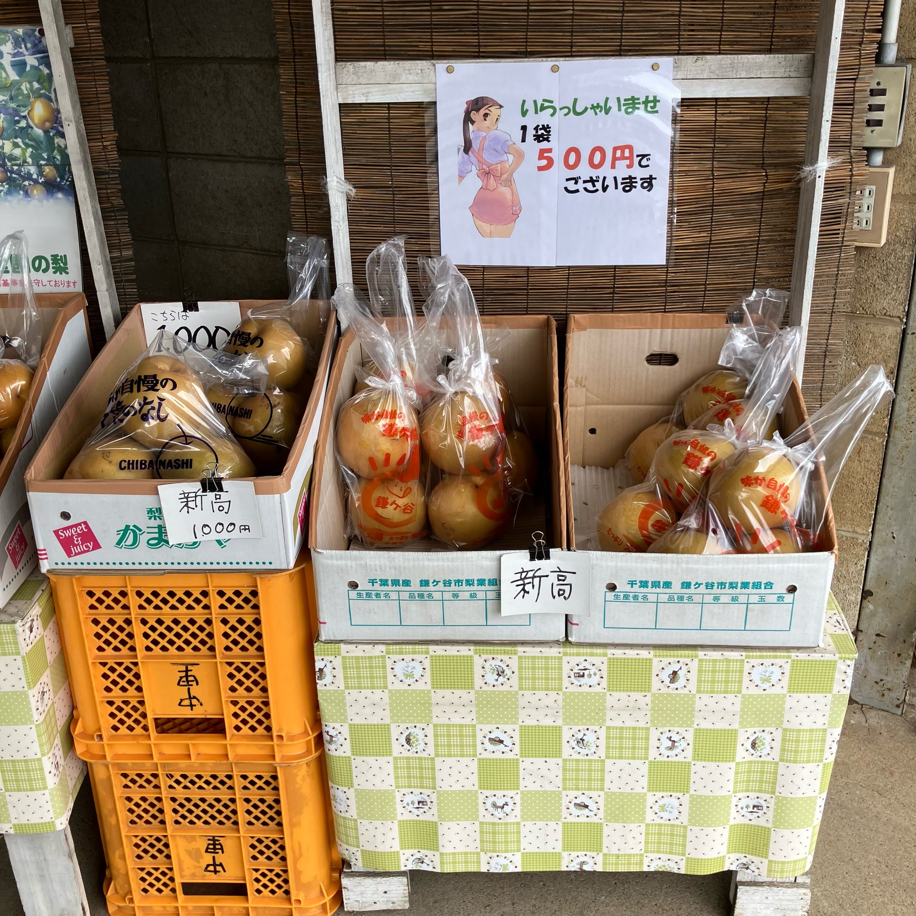 千葉梨幸水1箱5k特大サイズ3箱まとめてお買得 今年の営業もあと3日 袋売り限定で #新興 あります！ 大きさは幸水