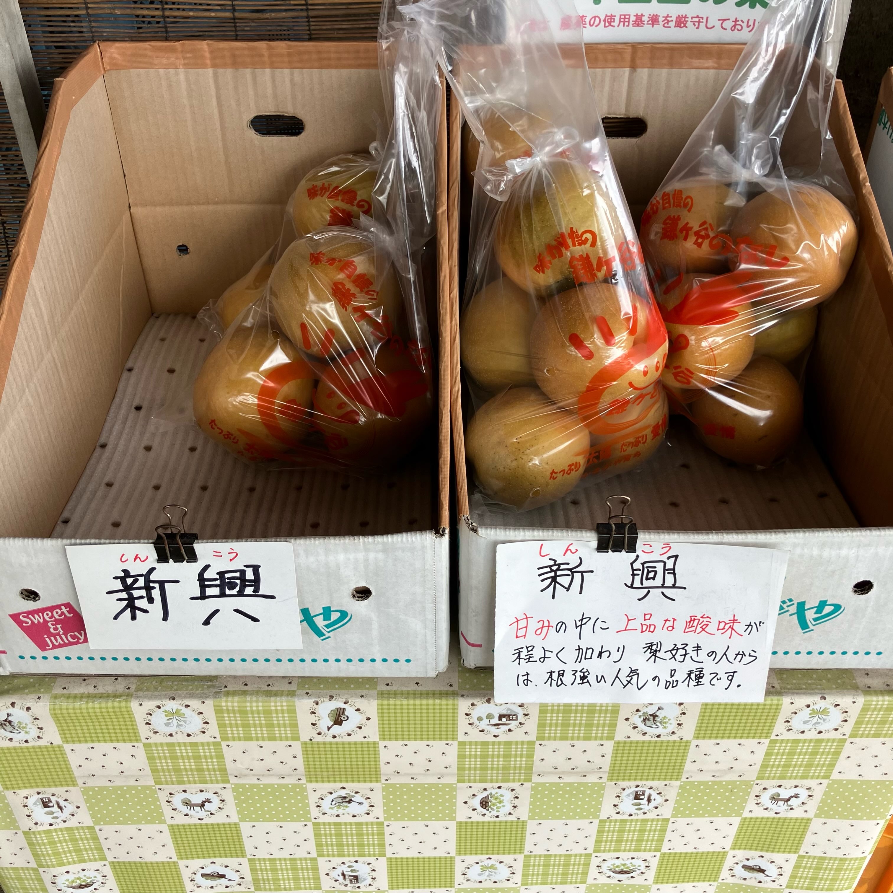 今年の営業もあと3日 袋売り限定で #新興 あります！ 大きさは幸水