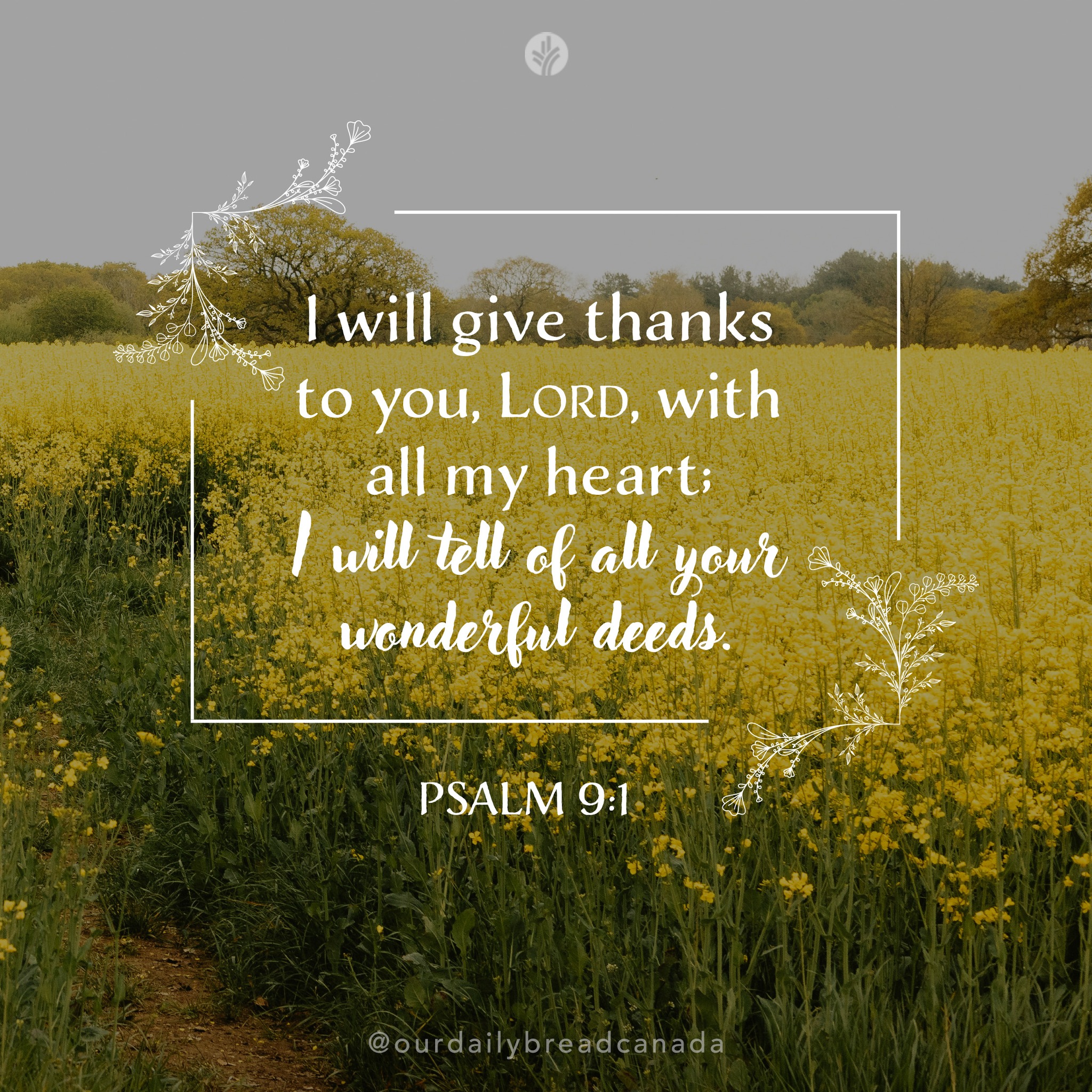 Our - Today's moments with God: Cultivating Gratitude 📖 Read: Psalm 9:1 ...