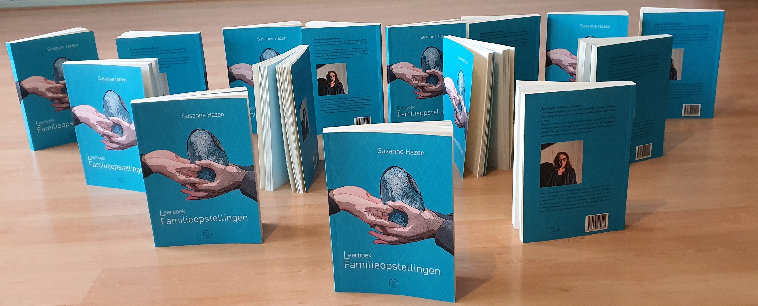Systemic - Dag 2025 en welkom 2026 / saying goodbye to 2025 and ...