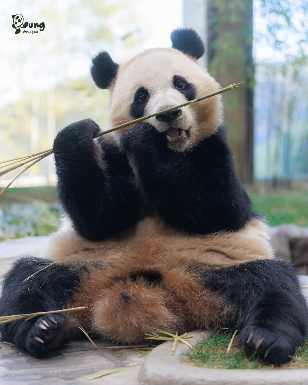 Rui Hui đáng yêu added a new photo. - Rui Hui đáng yêu