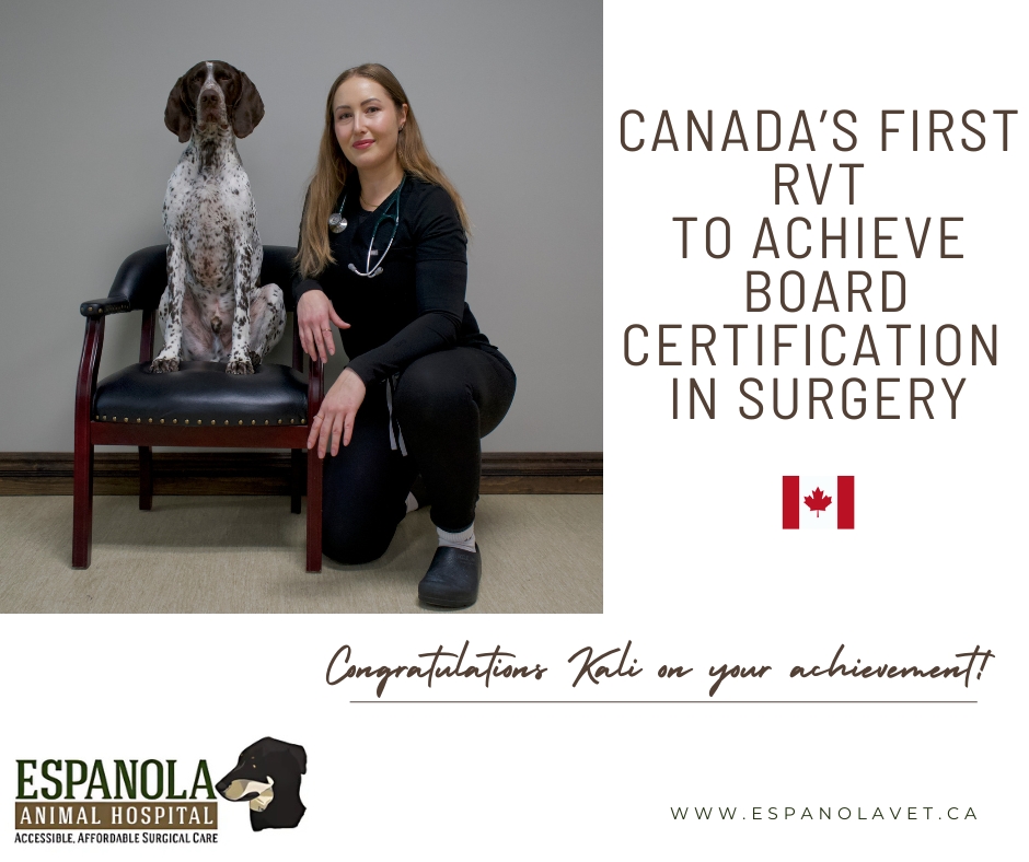 Espanola Animal Hospital added... - Espanola Animal Hospital
