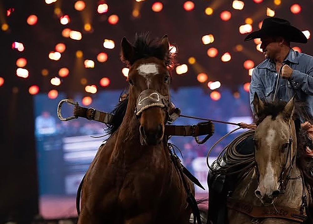 TwisTed Rodeo
