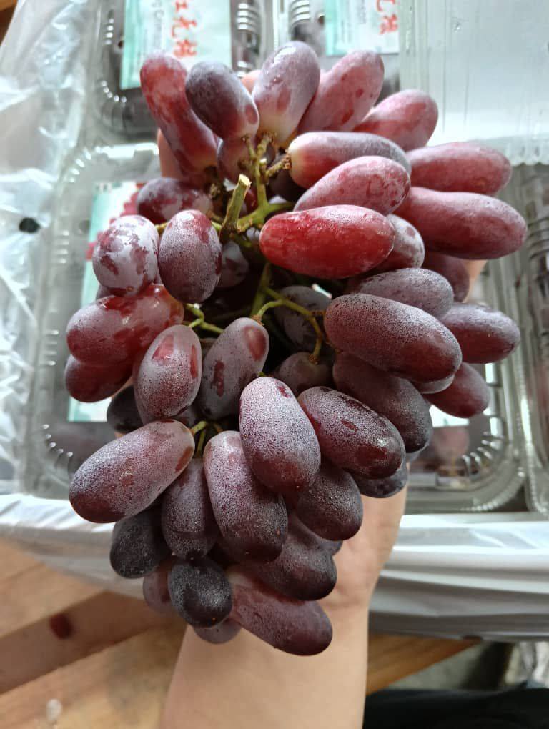 葡萄 🍇 红葡萄爆汁来袭！#而且还是无子的哦#快快快！ #太优惠了#CRAZYOFFER
