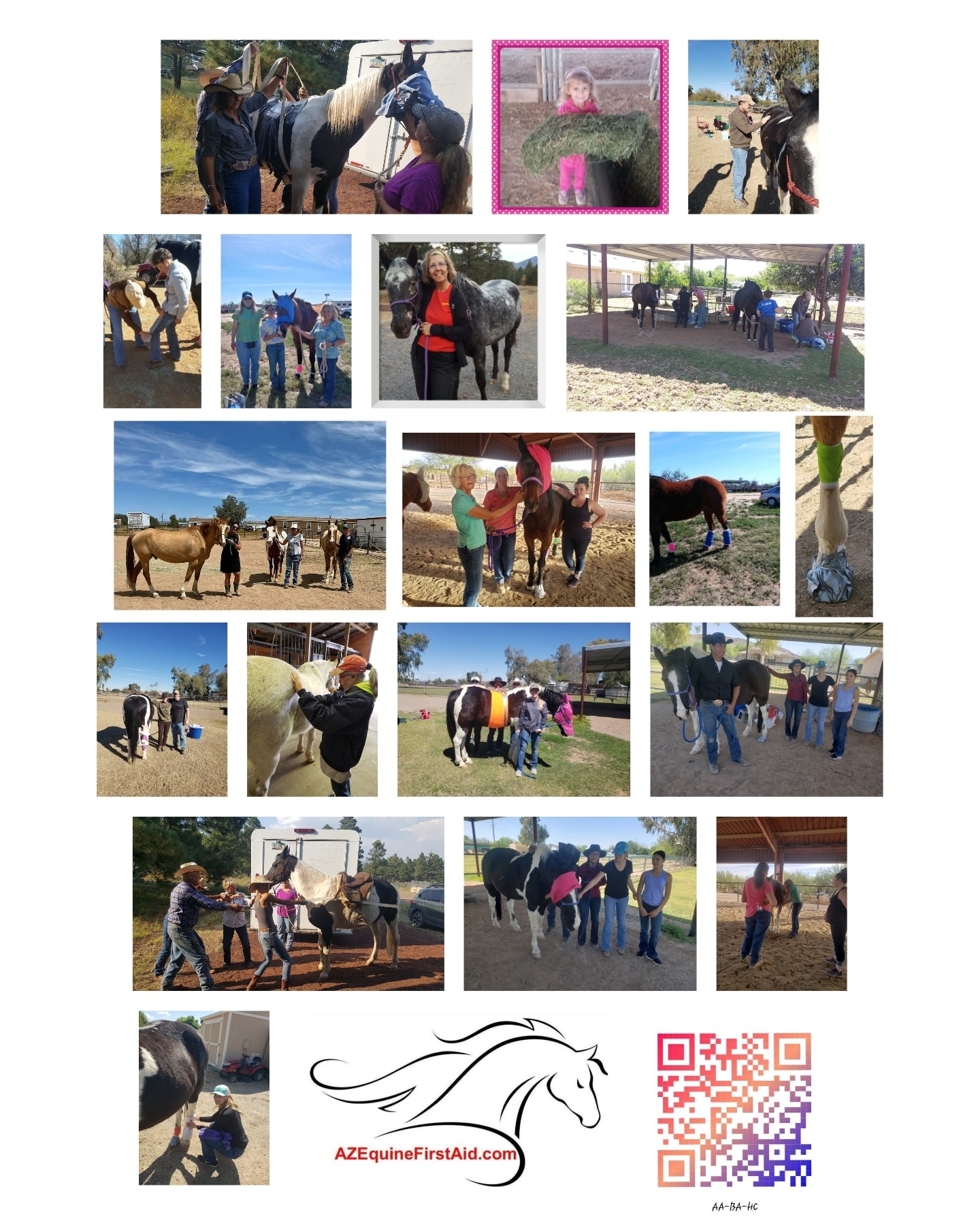 Comfy - Have you ever faced the horror of a horse emergency and not ...