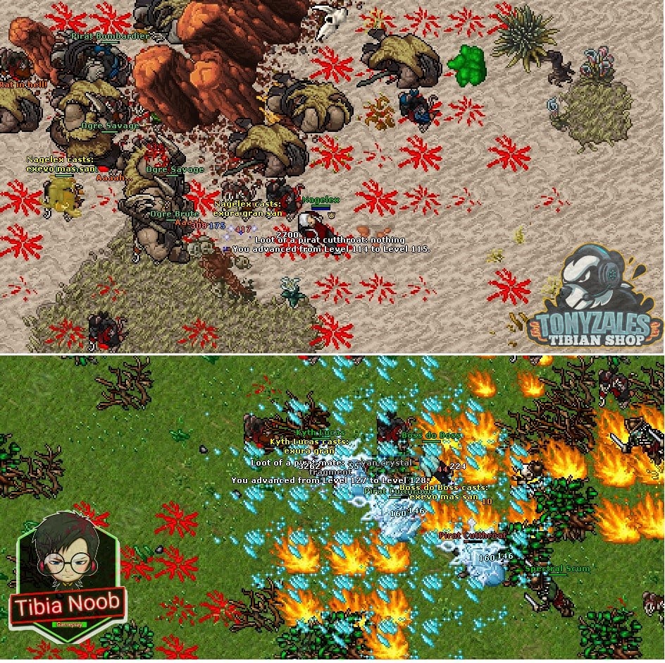 Tibia Noob - A Pirate´s Tail Quest.... ¿Un acceso... | Facebook
