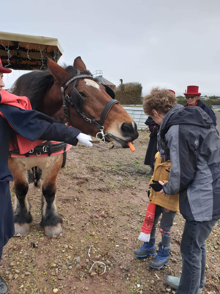 Tenby Carriage rides