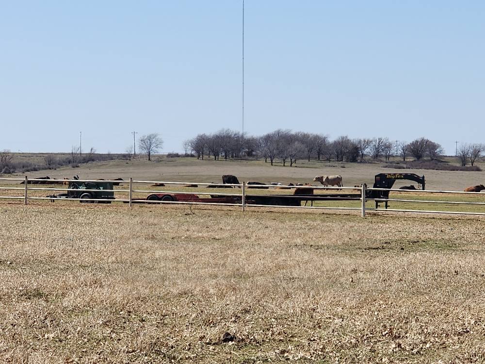 Comanche Rose Ranch | Nocona TX