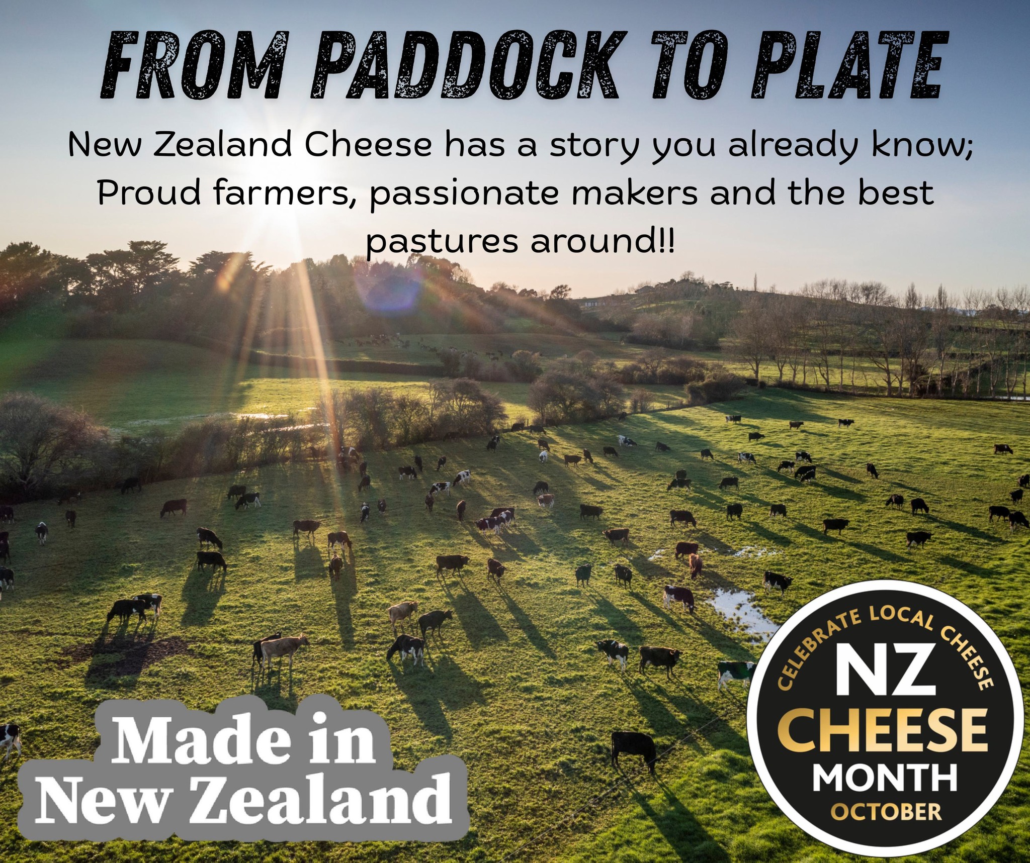 Meyer - 🎉🧀 It’s NZ Cheese Month! 🧀🎉 We’re proud to be part of a ...