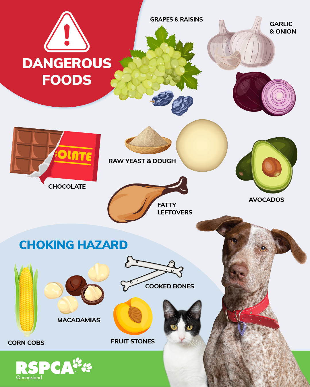 RSPCA Dakabin - RSPCA Dakabin added a new photo. - Fruit Choking Hazard In Pets