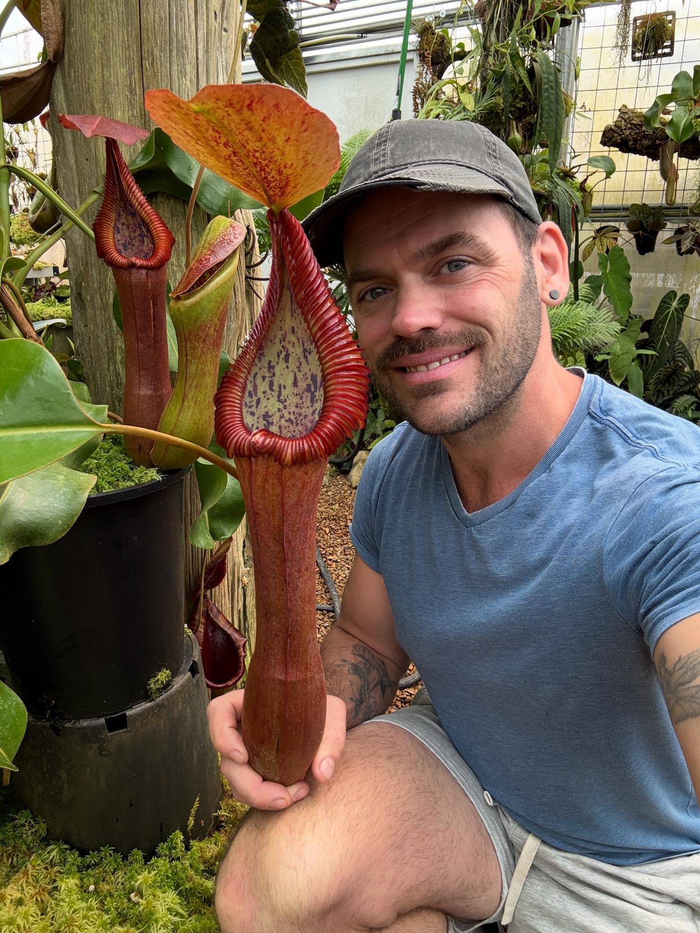 A huge truncata x edwardsiana trap! Created by the best, Exotica