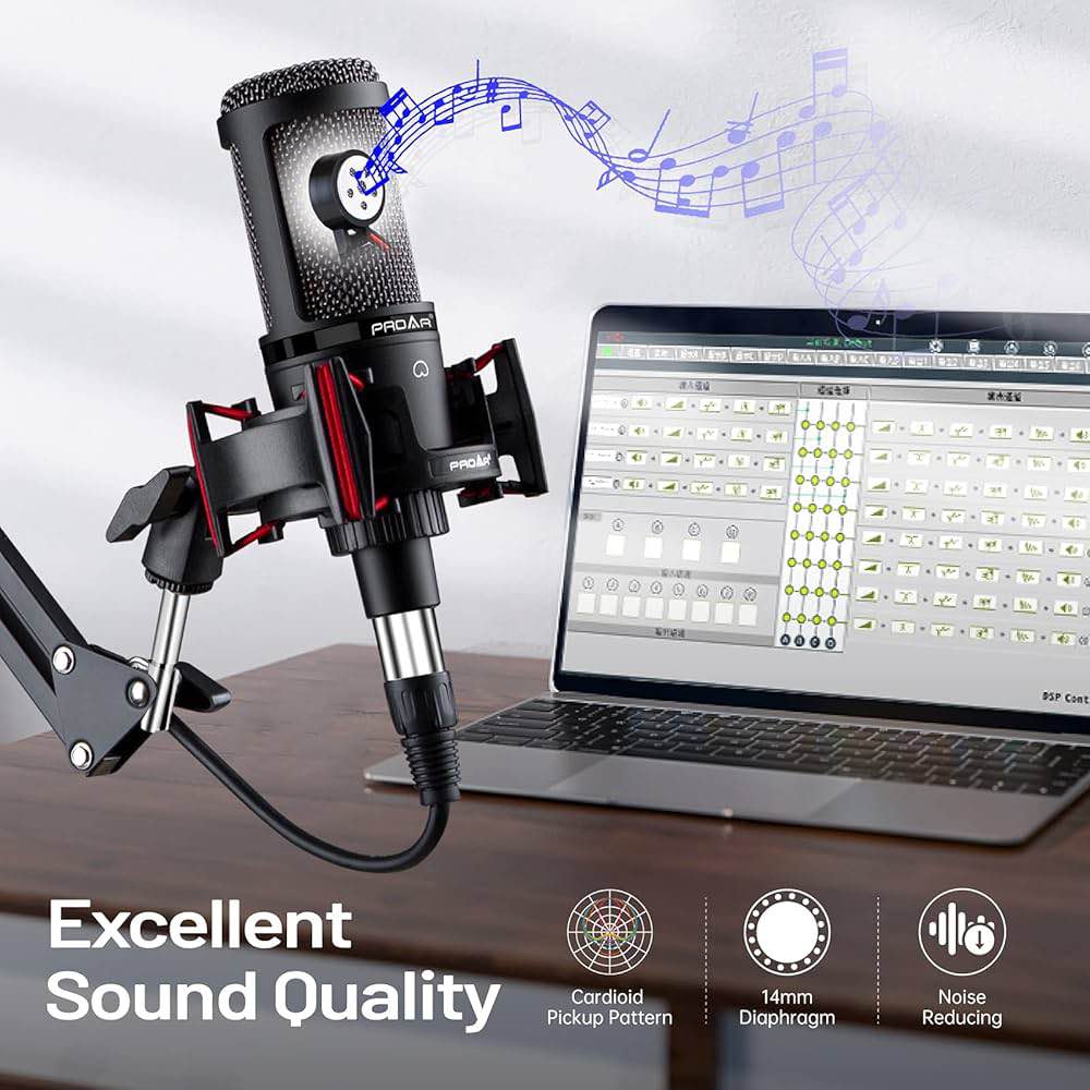 Proar Condenser Microphone XLR,Professional Studio Recording Microphone ...