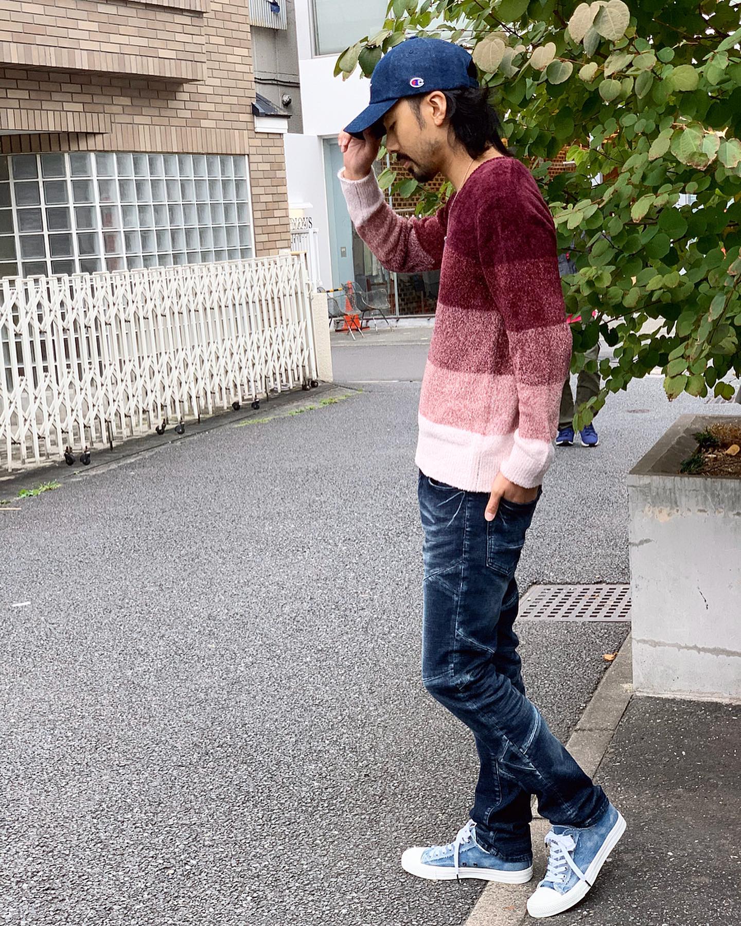 Voguish