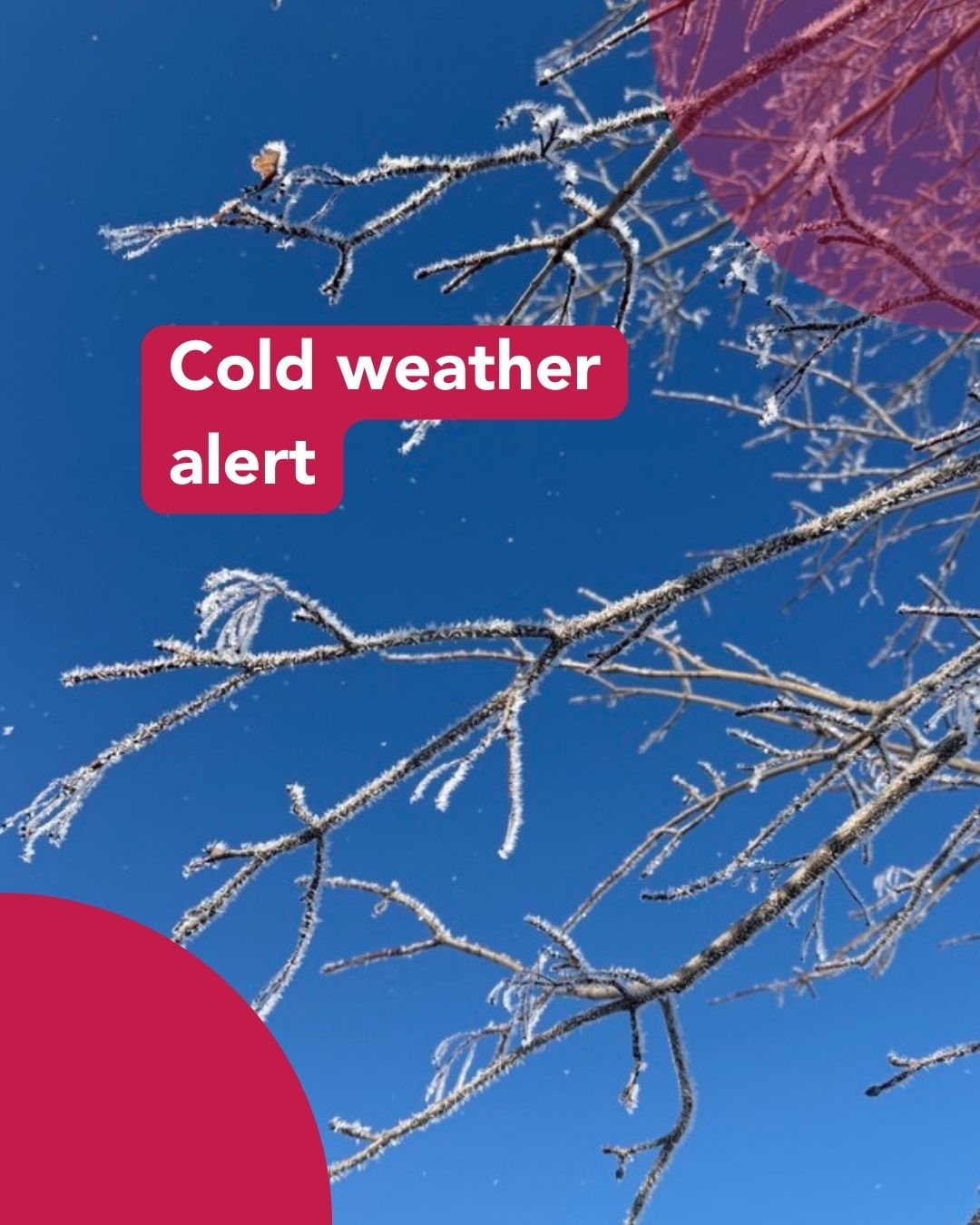 ⚠️COLD WEATHER ALERT⚠️... - Southwestern Public Health | Facebook