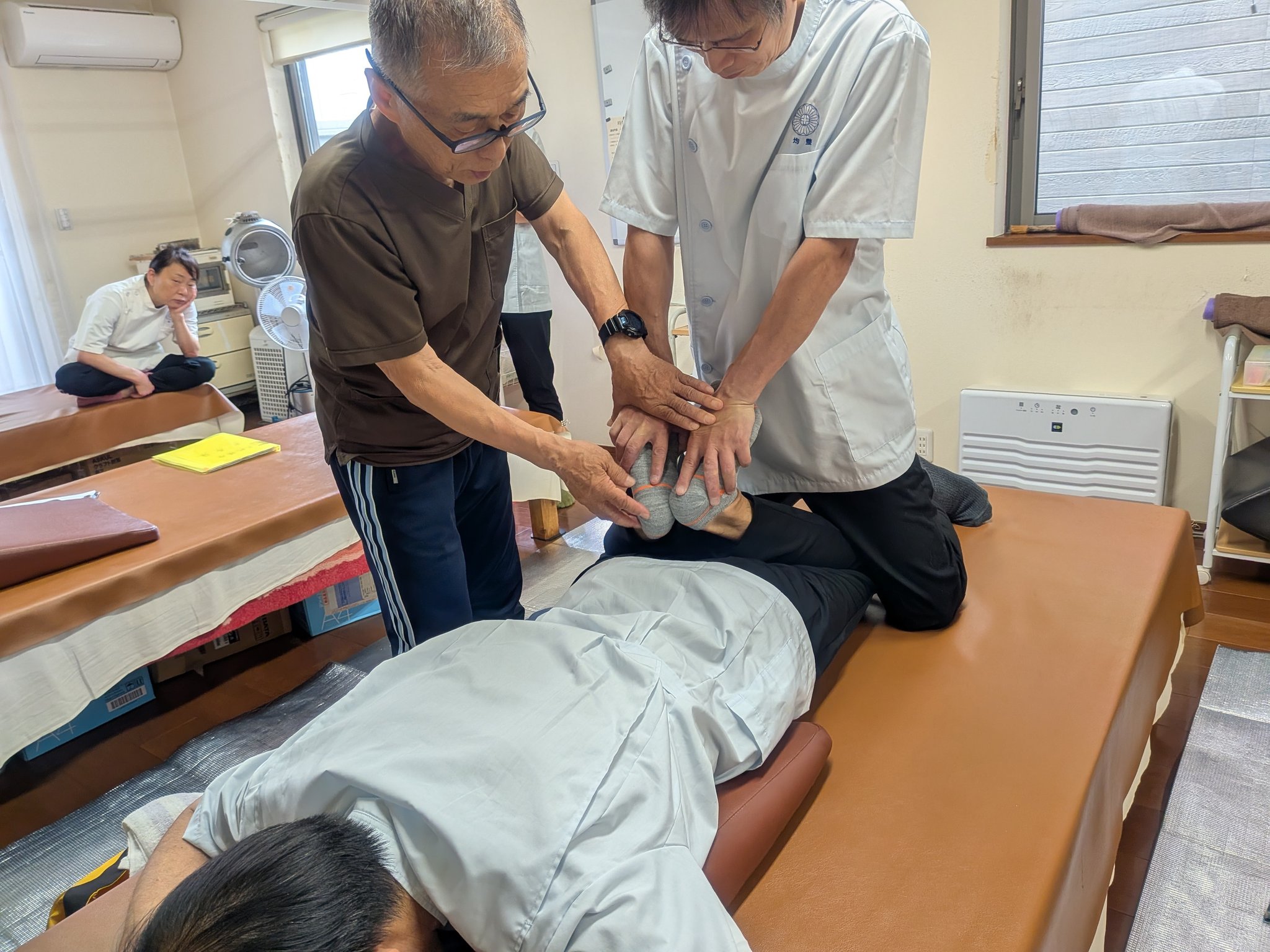 日本姿勢保健均整師会 | Setagaya-ku Tokyo