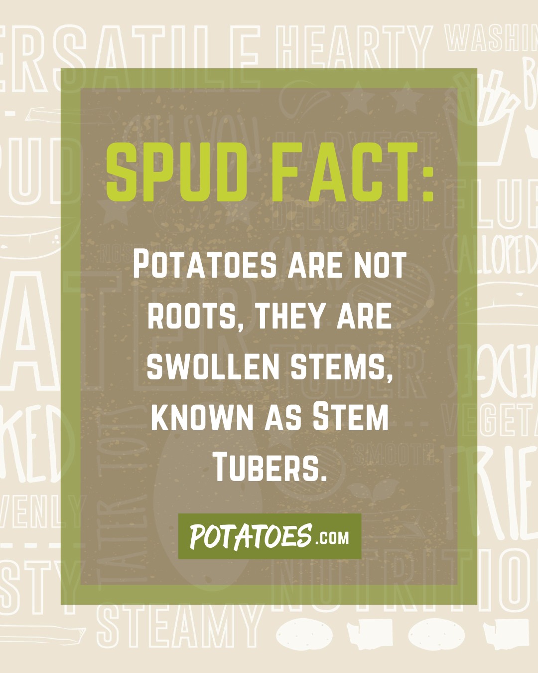 Washington - Did you know potatoes aren’t roots? They’re actually ...