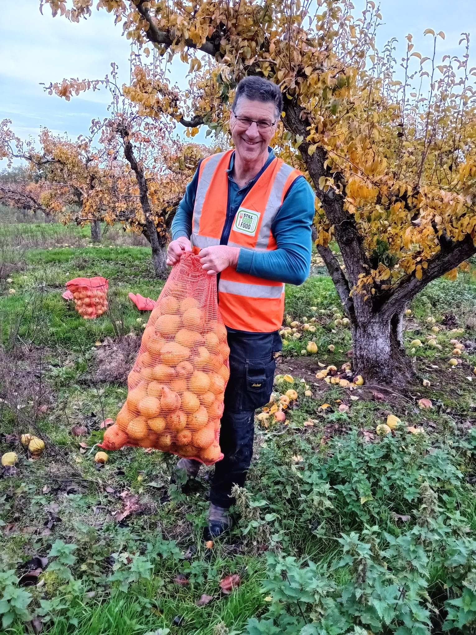 Maynard House 'Orchard-pressed apple juice' | Bury St. Edmunds