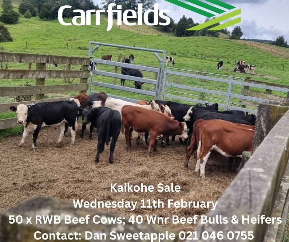 Carrfields Livestock Northland