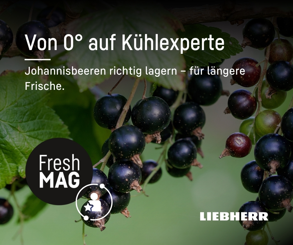 einsatz handschuhe KEMIMOTO Taktische mit Kohlefaser Knöchelschutz & Touchscreen – DE Kemimoto Category_Pots & Mugs Size:4XLG Alpina Defey HR Fahrradbrille