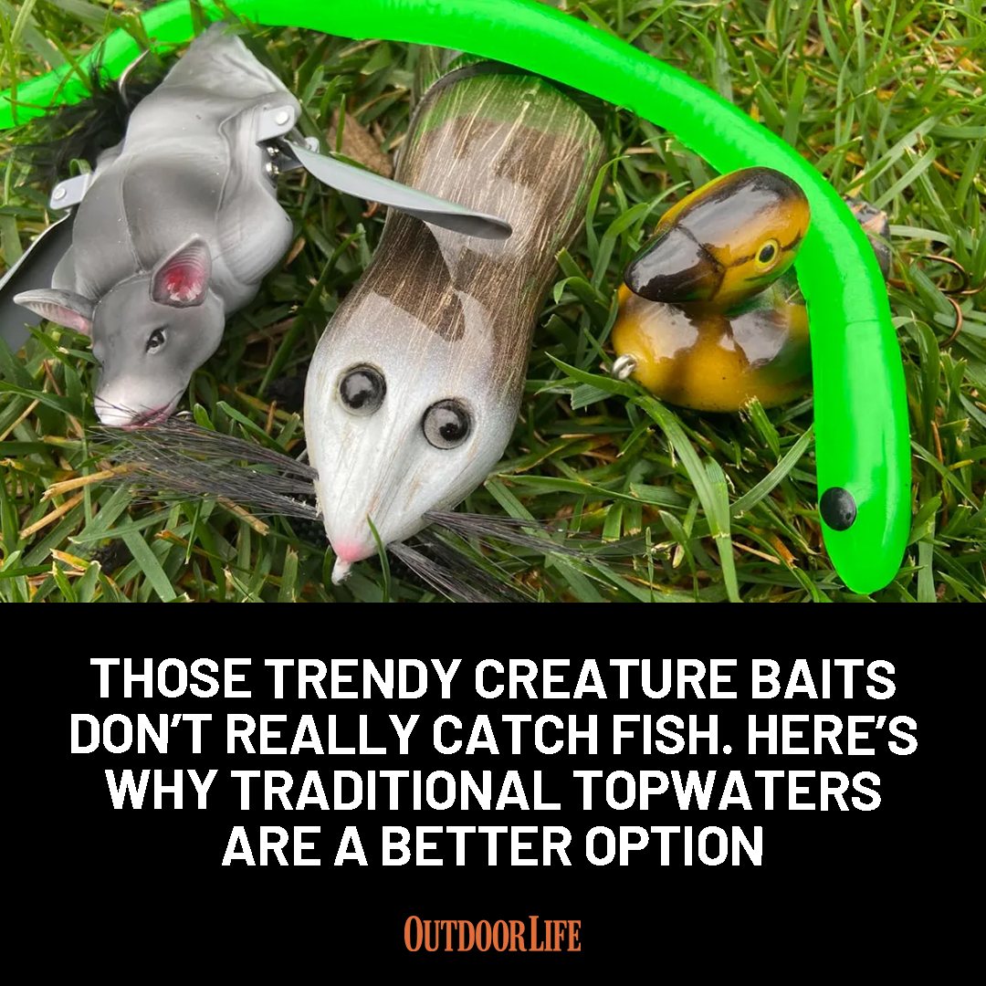 catching rats with fish hooks topwater Lure,Soft Body Design Dual bass Bait Freshwater Fishing Lure for Anglers Lakes Rivers Streams : Sports & Outdoors Are all these trendy critter