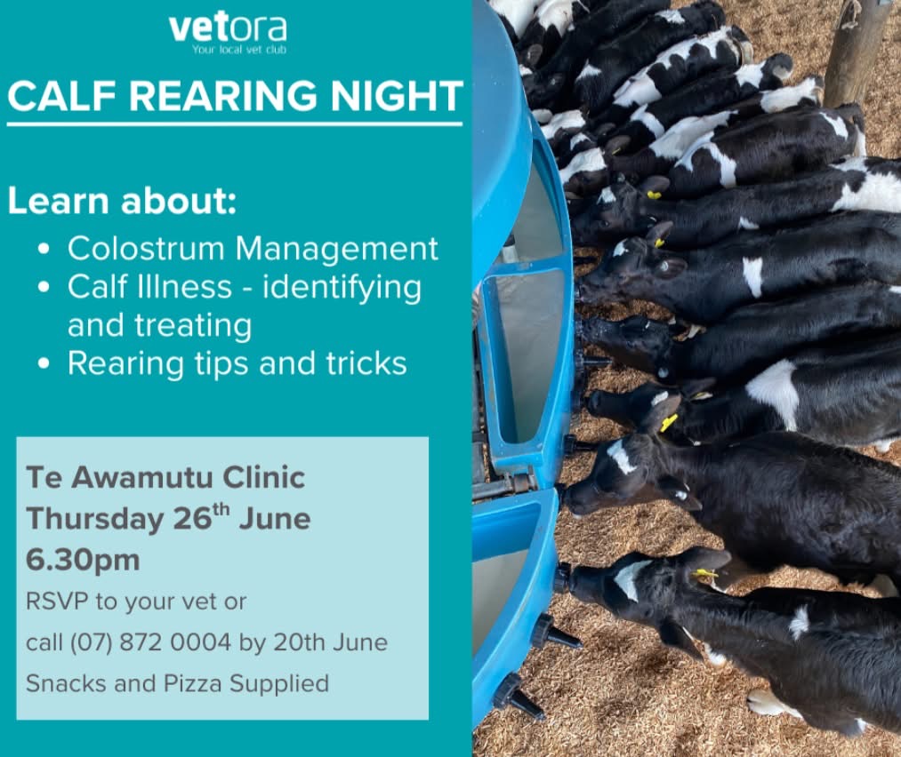 Vetora - A friendly reminder….🤗 🐮 Calling all calf rearers — new ...