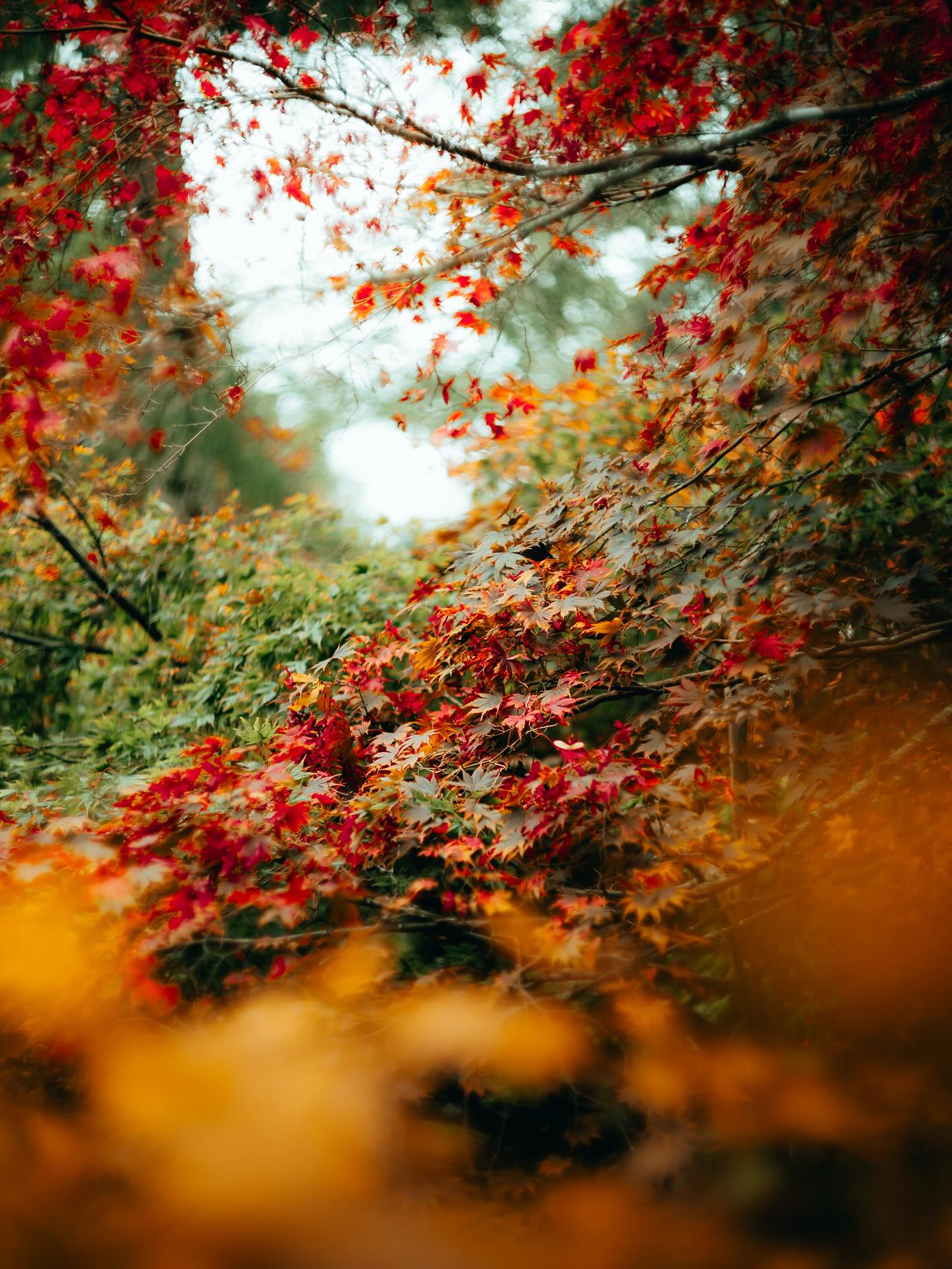 robert-beasley-photography